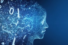 诉状对此也援用了